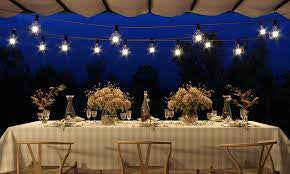 String Light 20m svart