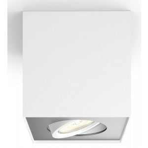 Box 1:a spotlight vit