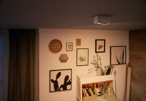 Box 2:a spotlight svart