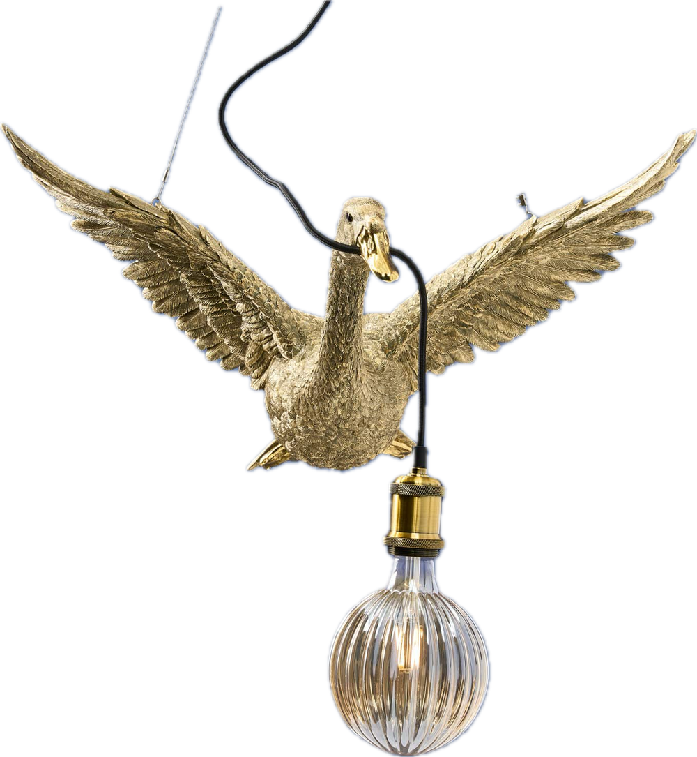 Flying Duck taklampa